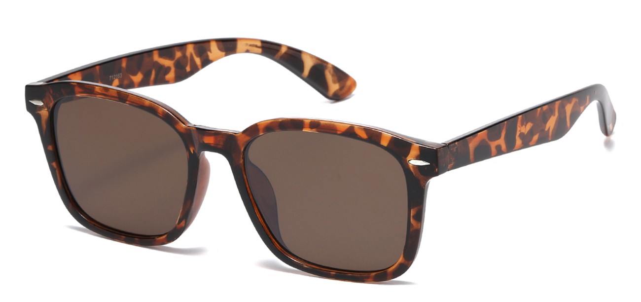 Classic Square Frame Sunglasses 712163