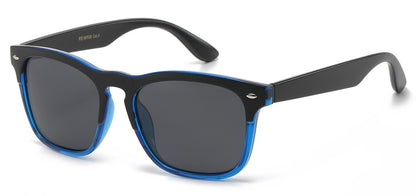 Wayfarer Polarized Sunglasses pz-wf08