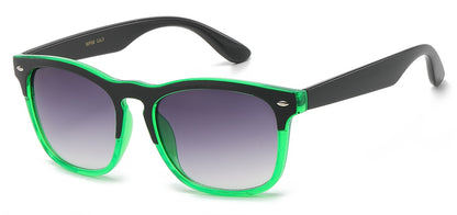 Wayfarer Two-Tone Sunglasses wf08