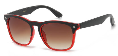 Wayfarer Two-Tone Sunglasses wf08