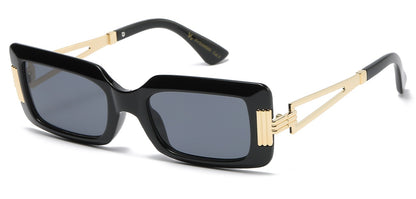 VG Metallic Temple Sunglasses vg29565